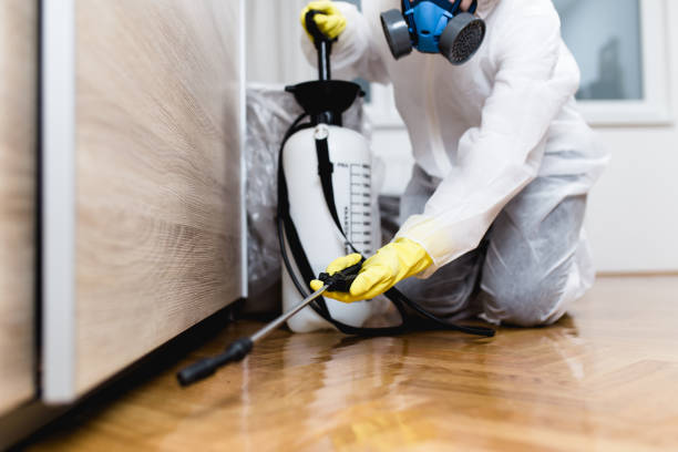 Pest Control for Restaurants in Mcgaheysville, VA