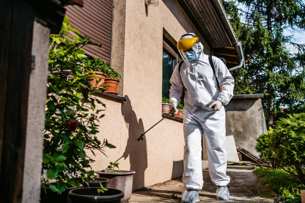 Best Termite Control Services  in Mcgaheysville, VA