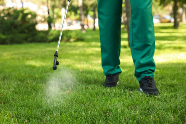 Best Commercial Pest Control Services  in Mcgaheysville, VA
