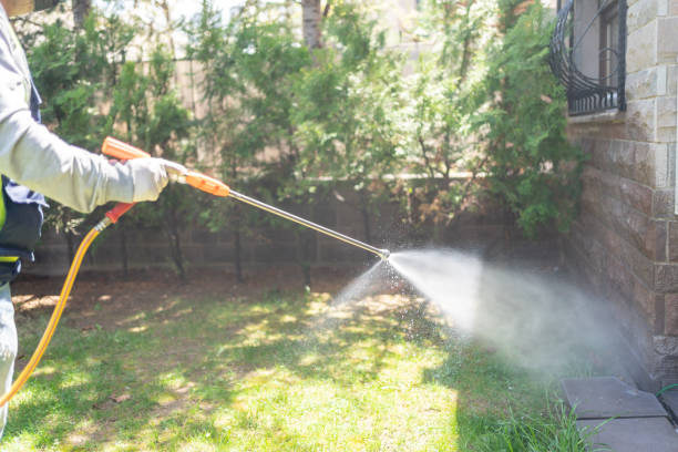 Best Spider Control Near Me  in Mcgaheysville, VA