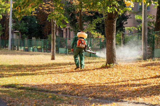 Best Best Pest Control Companies  in Mcgaheysville, VA