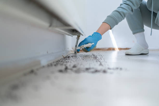 Best Pest Inspection Near Me  in Mcgaheysville, VA