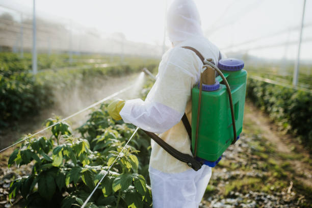 Best Cockroach Control Services  in Mcgaheysville, VA